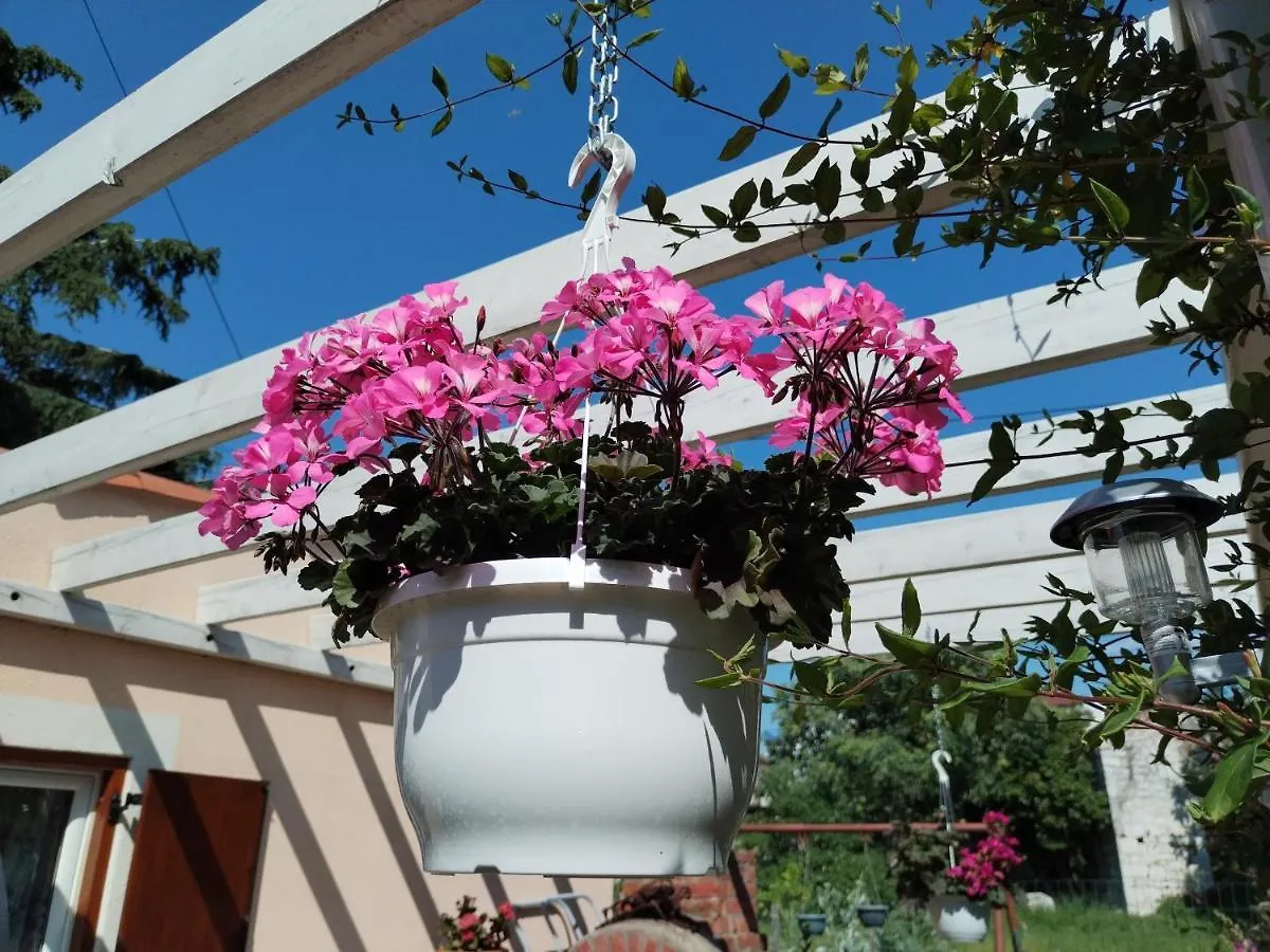 Apartments Anica Whit Parking Rovinj Kroatien